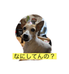 みんなでニコニコ（個別スタンプ：3）