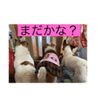 みんなでニコニコ（個別スタンプ：4）