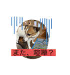 みんなでニコニコ（個別スタンプ：6）
