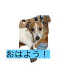 みんなでニコニコ（個別スタンプ：7）