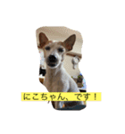 みんなでニコニコ（個別スタンプ：8）