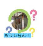 みんなでニコニコ（個別スタンプ：9）