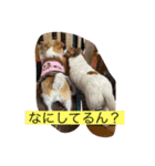 みんなでニコニコ（個別スタンプ：13）