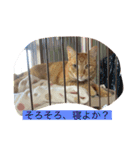 みんなでニコニコ（個別スタンプ：14）