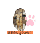 みんなでニコニコ（個別スタンプ：15）