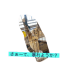 みんなでニコニコ（個別スタンプ：16）