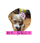 みんなでニコニコ（個別スタンプ：17）