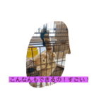 みんなでニコニコ（個別スタンプ：18）