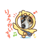 みんなでニコニコ（個別スタンプ：20）