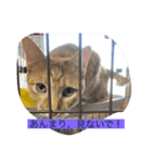 みんなでニコニコ（個別スタンプ：21）