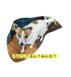 みんなでニコニコ（個別スタンプ：22）