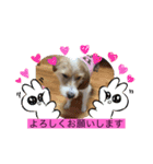みんなでニコニコ（個別スタンプ：24）