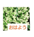 hanaごころ2（個別スタンプ：1）