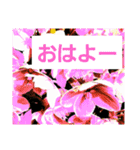 hanaごころ2（個別スタンプ：5）