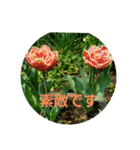hanaごころ2（個別スタンプ：9）
