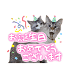 うちのねこ様【日常用語】（個別スタンプ：32）