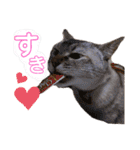 うちのねこ様【日常用語】（個別スタンプ：37）