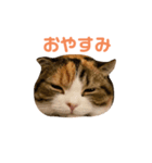 もみじあいさつスタンプ（個別スタンプ：2）