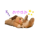パピチワのマロンさん（個別スタンプ：2）