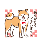 冬のあきたわんこ〈赤毛〉①（個別スタンプ：2）