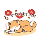 冬のあきたわんこ〈赤毛〉①（個別スタンプ：5）