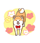 冬のあきたわんこ〈赤毛〉①（個別スタンプ：12）
