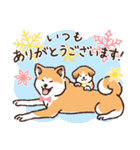 冬のあきたわんこ〈赤毛〉①（個別スタンプ：24）