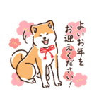 冬のあきたわんこ〈赤毛〉①（個別スタンプ：37）