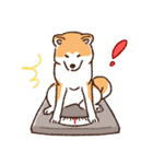 冬のあきたわんこ〈赤毛〉①（個別スタンプ：40）