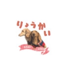 【ミニチュアダックス】うちの子スタンプ2（個別スタンプ：2）