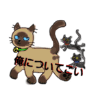 うちに出入りする野良猫たちの毎日（個別スタンプ：2）