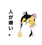 うちに出入りする野良猫たちの毎日（個別スタンプ：7）