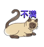 うちに出入りする野良猫たちの毎日（個別スタンプ：11）