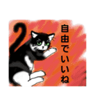 うちに出入りする野良猫たちの毎日（個別スタンプ：17）