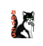 うちに出入りする野良猫たちの毎日（個別スタンプ：25）