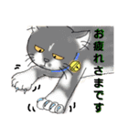 うちに出入りする野良猫たちの毎日（個別スタンプ：27）