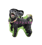 ジミとボンベトスタンプ（個別スタンプ：15）