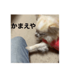 やっぱりべびだけ（個別スタンプ：1）