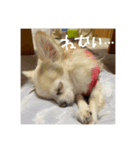 やっぱりべびだけ（個別スタンプ：2）
