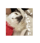やっぱりべびだけ（個別スタンプ：4）