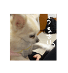 やっぱりべびだけ（個別スタンプ：7）