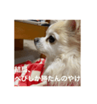 やっぱりべびだけ（個別スタンプ：8）