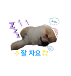 Mungchi Stamp（個別スタンプ：4）
