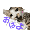 xxxsuzuStnpxxx（個別スタンプ：2）