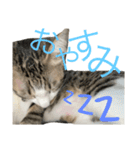 xxxsuzuStnpxxx（個別スタンプ：3）