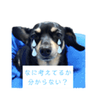 モモ＆くぅー2（個別スタンプ：2）