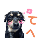 モモ＆くぅー2（個別スタンプ：7）