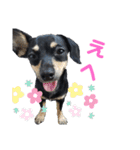 モモ＆くぅー2（個別スタンプ：10）