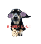 モモ＆くぅー2（個別スタンプ：14）