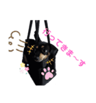 モモ＆くぅー2（個別スタンプ：15）